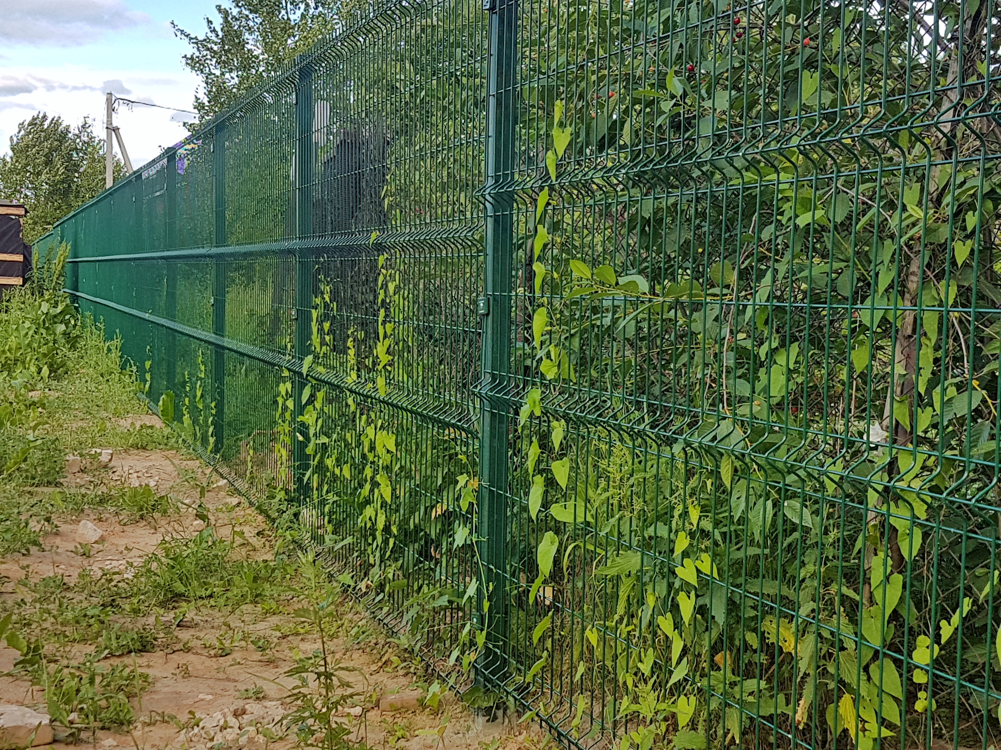 Забор из 3Д сетки под ключ, Нижний Новгород